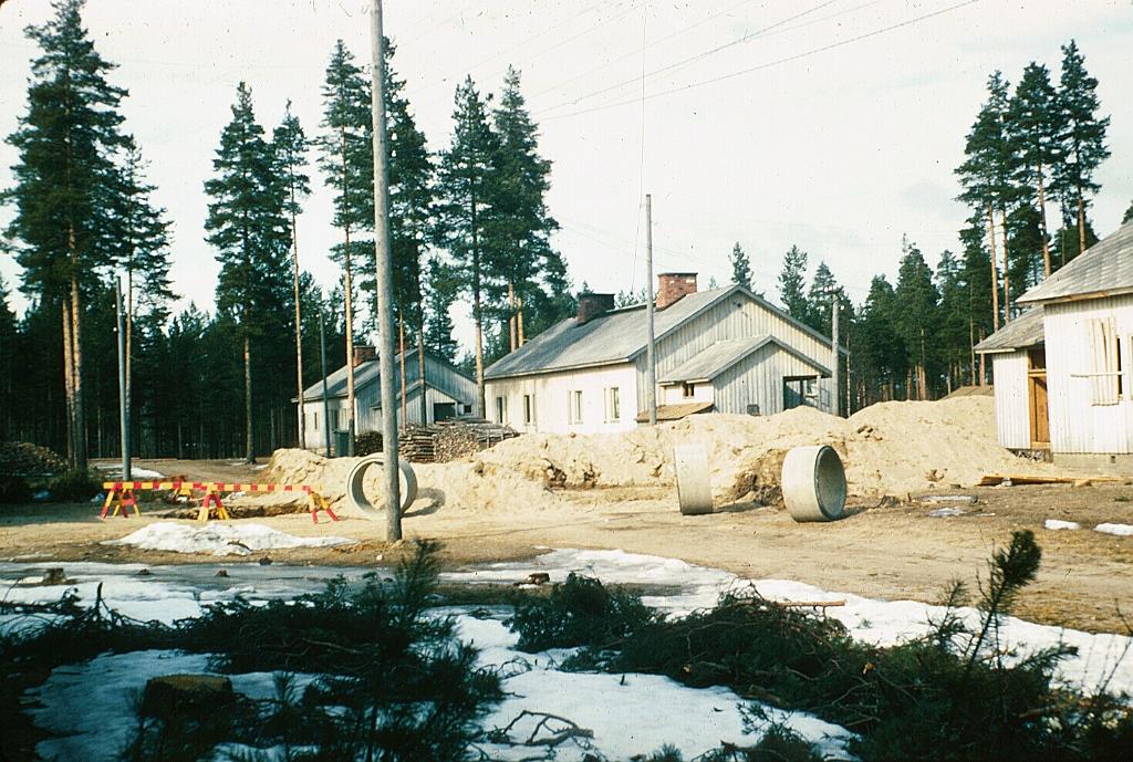 113.JPG