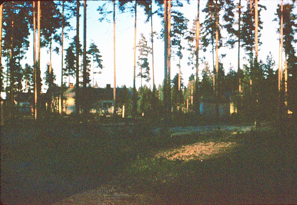 122.JPG